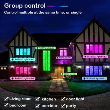 LED室内灯 - HCP021 LED蓝牙灯泡灯