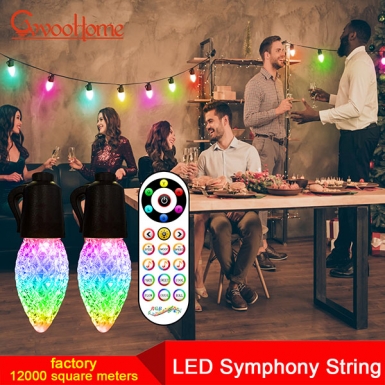 LED户外灯 - LED幻影灯串