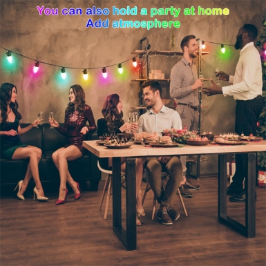 LED户外灯 - LED幻影灯串