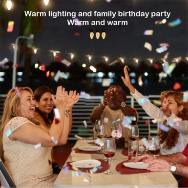 LED户外灯 - 单色灯串