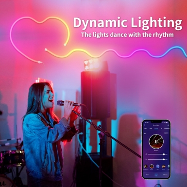 LED灯条 - HCP069 wifi幻彩霓虹灯带